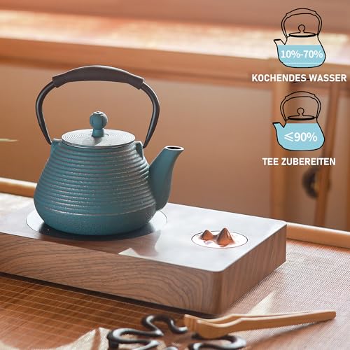 Cast Iron Teapot