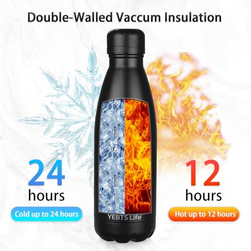Insulated Water Bottle (2 Count)