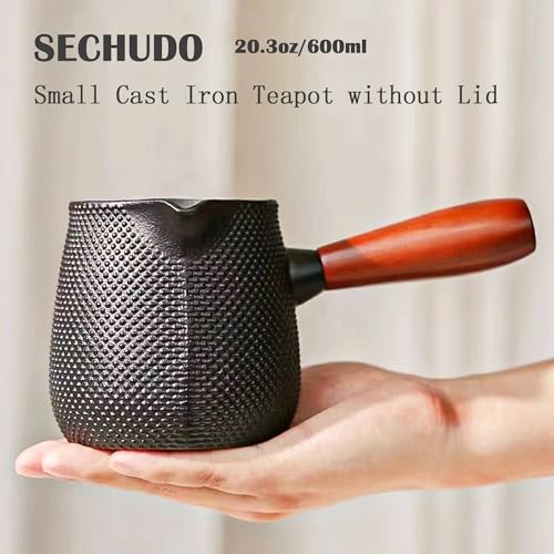 Small Cast Iron Teapot