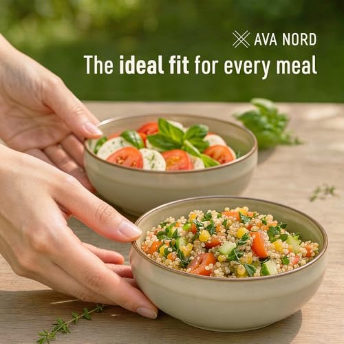 Stoneware Ceramic Cereal Bowls Set of 4 (4 Count)