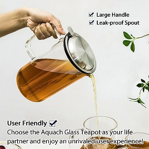 51oz Glass Teapot with Infuser (51 Count)