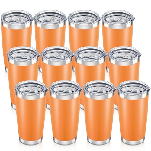 20 oz Tumbler with Lid Stainless Steel Insulated Tumblers Bulk Cups Mug (12 Count)