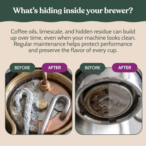 Espresso Complete Cleaning Kit Compatible with Breville (16.9 Fl Oz)