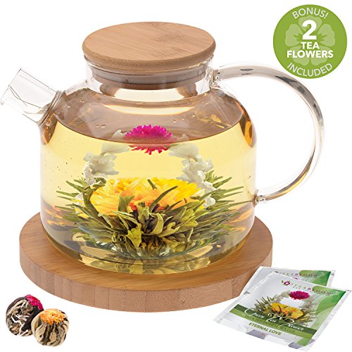 Stovetop Safe Glass Teapot with Bamboo Lid