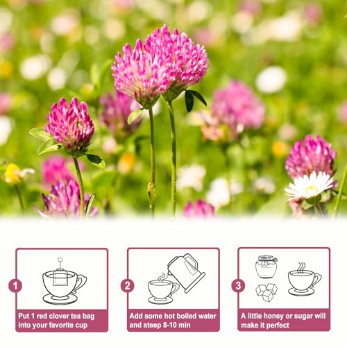 Red Clover Tea Bags (40 Count)