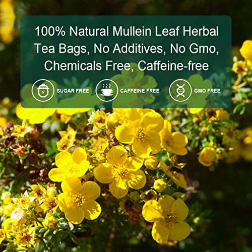 Mullein Leaf Tea Bags (40 Count)