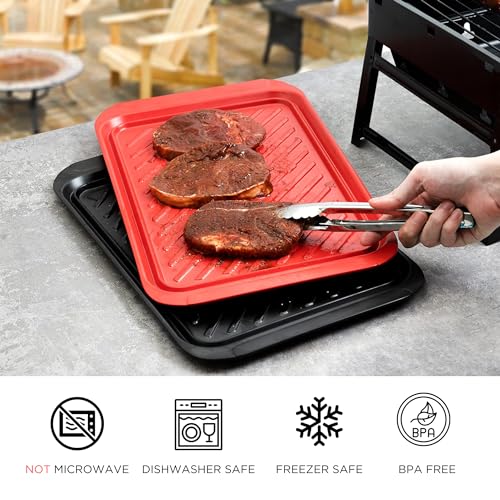 17" x 10.5" Grilling Prep and Serve Trays (2 Count)