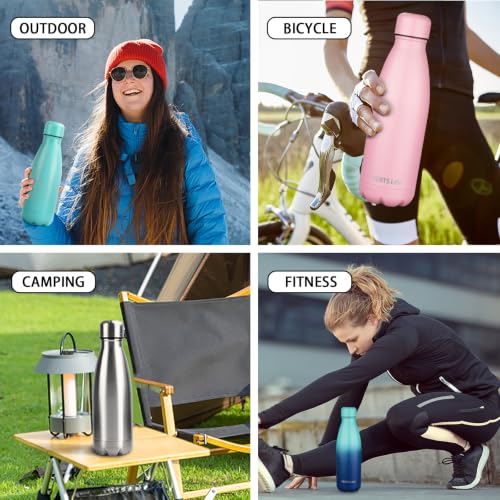 Insulated Water Bottle (2 Count)
