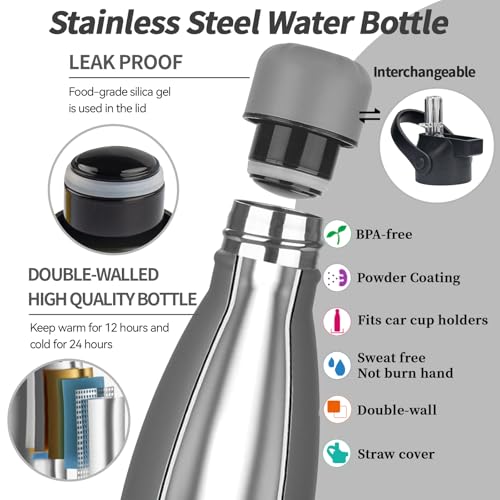 Insulated Water Bottle (2 Count)