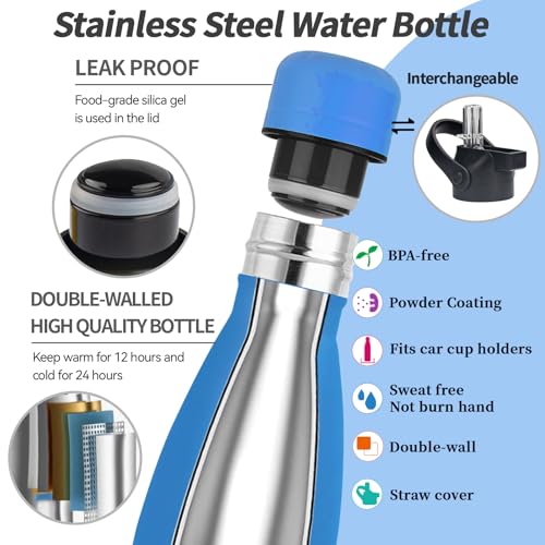 Insulated Water Bottle