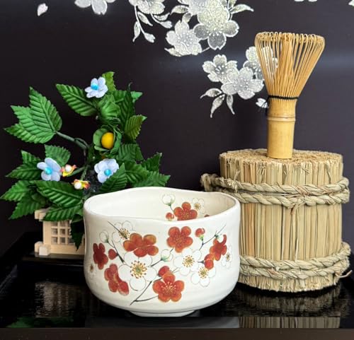 Japanese Traditional Mino Ware Handcrafted Mini Matcha Chawan Tea Bowl Cup Set With Chasen Bamboo Tea Whisk Ceremony Tableware Pottery