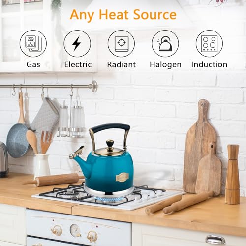 Tea Kettle Stainless Steel Teapot