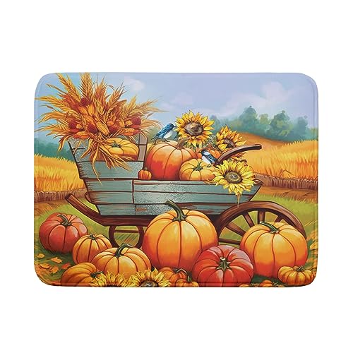 Thanksgiving Autumn Harvest Pumpkin Dish Drying Mat for Kitchen Counter