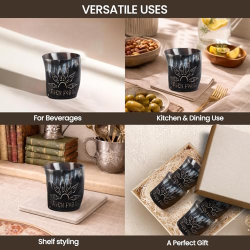Viking Horn Shot Glasses Set of 12 (12 Count)