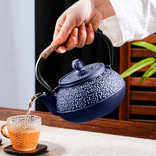 Cast Iron Teapot