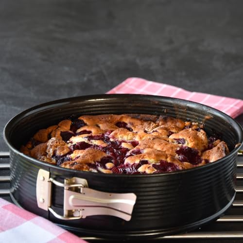 11 Inch Springform Pan Nonstick Cake Pan with Removable Bottom Round Leakproof Cake Baking Pans Molds for Baking