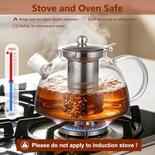 Glass Teapot with Removable Infuser