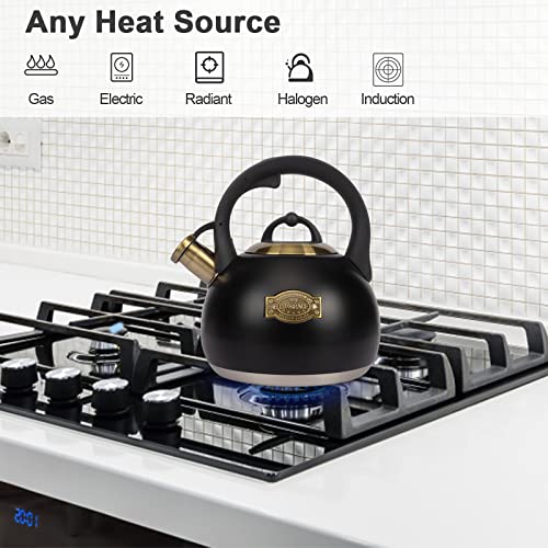 Tea Kettle for Stovetop