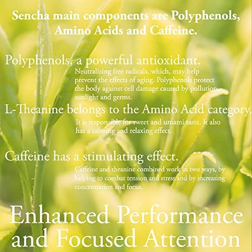 Sencha Japanese Green Tea (20 Count)