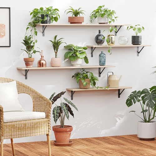 Long Wall Shelves (2 Count)