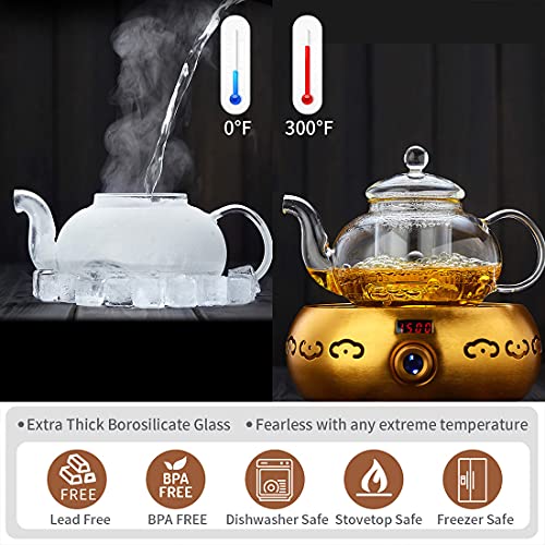 Glass Teapot with Removable Clear Infuser