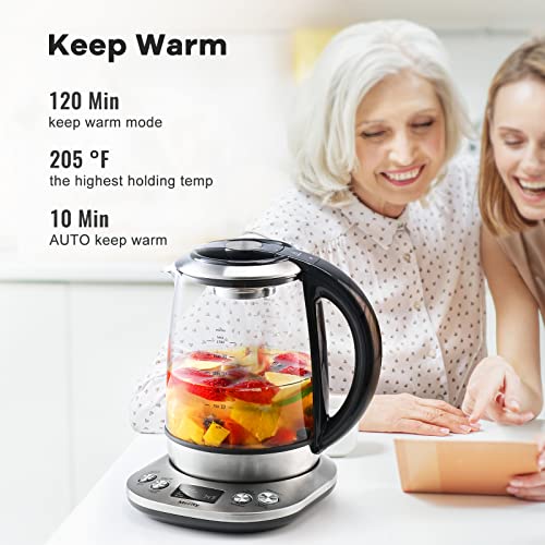 Electric Tea Kettle Borosilicate Glass Tea Maker With Temperature Control and Infuser