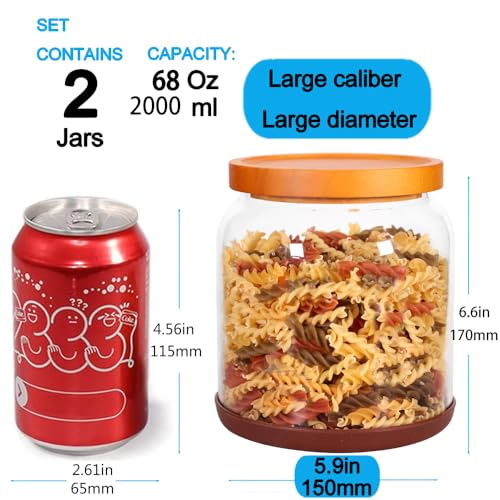 2 Pack Striped Borosilicate Glass Airtight Canisters