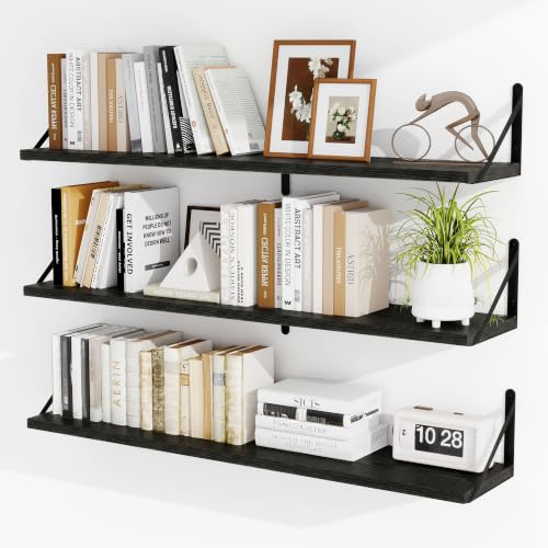 Floating Book Shelves for Wall (3 Count)