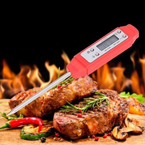 Digital Food Thermometer