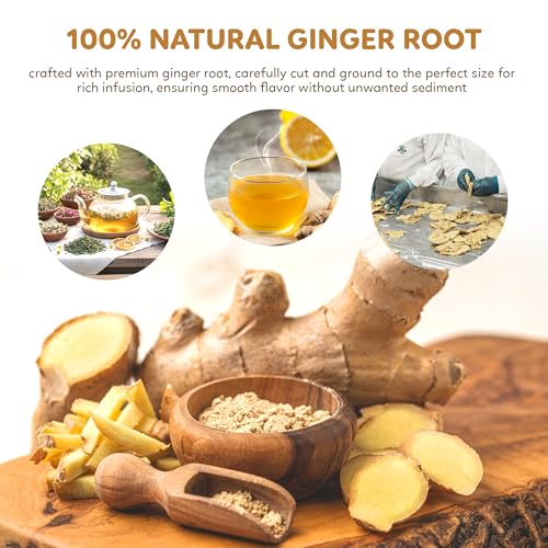 100 Ginger Tea Bags (100 Count)