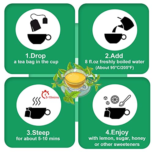 Nettle Leaf Tea (50 Count)