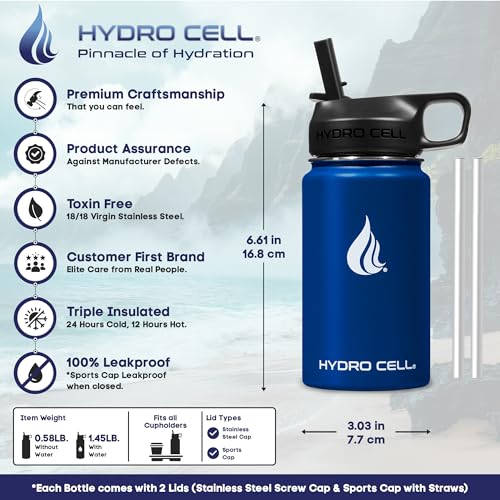 Stainless Steel Insulated Water Bottle with Straw