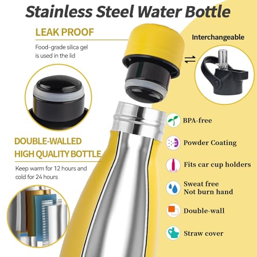 Insulated Water Bottle (2 Count)