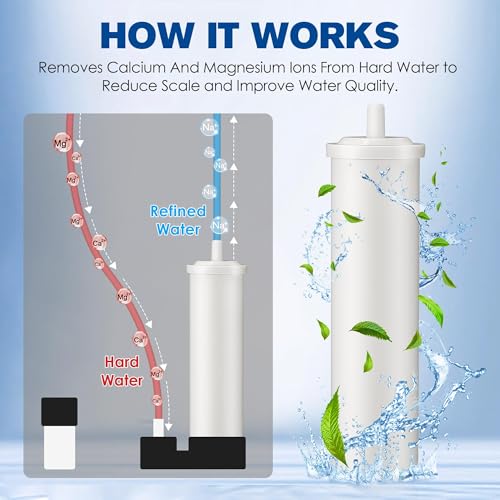 2 Pack Cationic Resin Filter