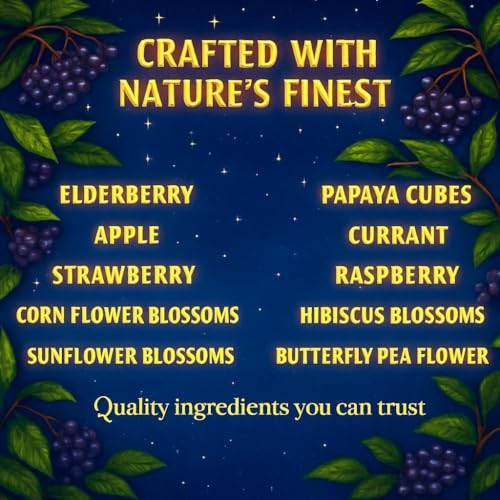 Dragon Moon for Kids Using Real Elderberry and Fruit Pieces (2.12 Ounce)