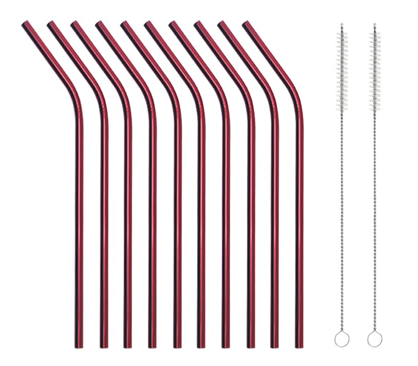 10 Pcs Stainless Steel Straws (10 Count)