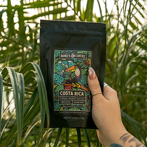 NEW World Tour Sample Pack (20 Ounce)