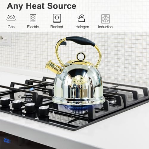 Tea Kettle for Stovetop
