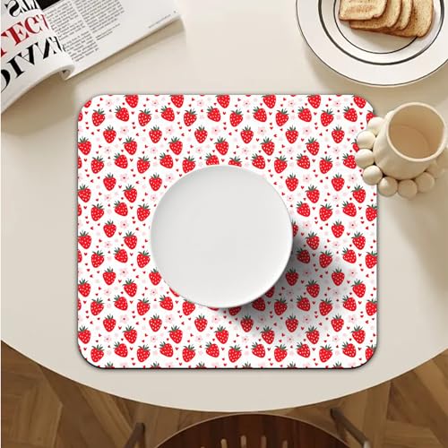 Absorbent Dish Drying Mat
