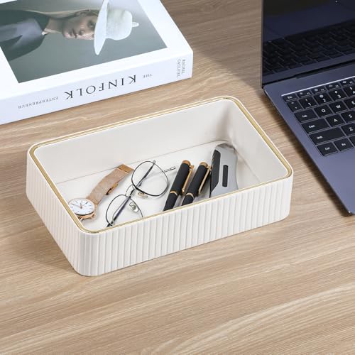 Desk Organizer Tray