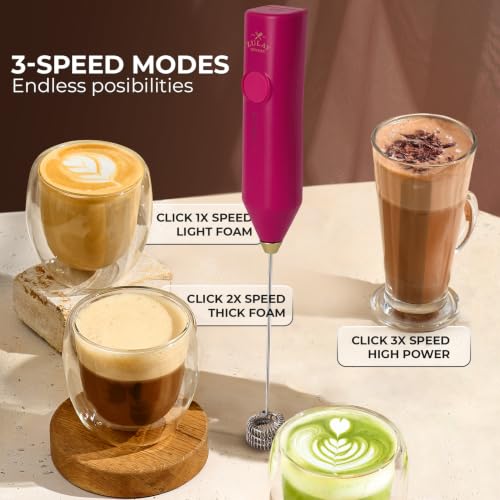 Rechargeable Milk Frother Handheld