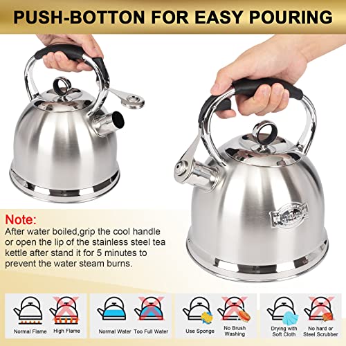 Tea Kettle for Stovetop