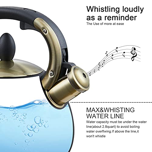 Stove Top Whistling Tea Kettle