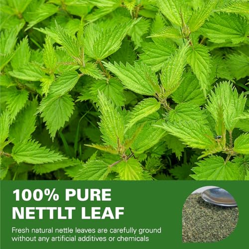 Nettle Leaf Tea Bags 100 Count