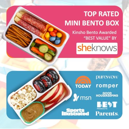 Small Snack Box Containers Kids Toddlers (2 Count)