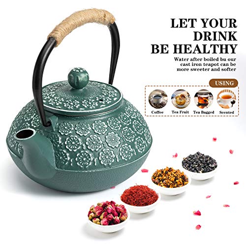 Cast Iron Tea Pot with Infusers for Loose Tea