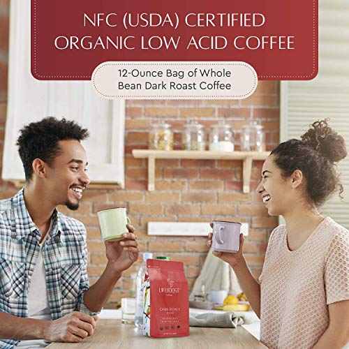 Dark Roast Whole Bean Coffee (36 Ounce)