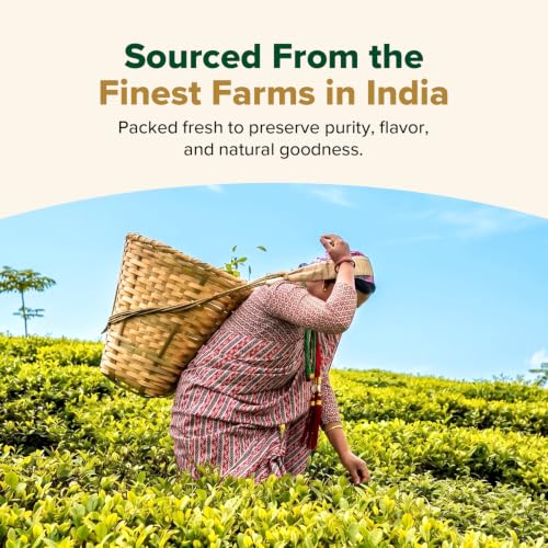 Organic Himalayan Green Tea (100 Count)