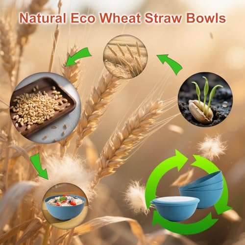 Wheat Straw Bowls with Lids Set of 4