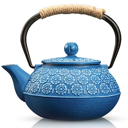 Cast Iron Tea Pot with Infusers for Loose Tea